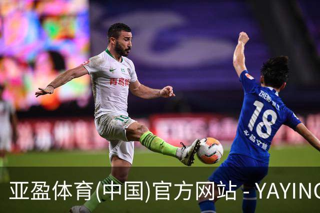 亚盈体育(中国)官方网站 - YAYING SPORTS公司简介